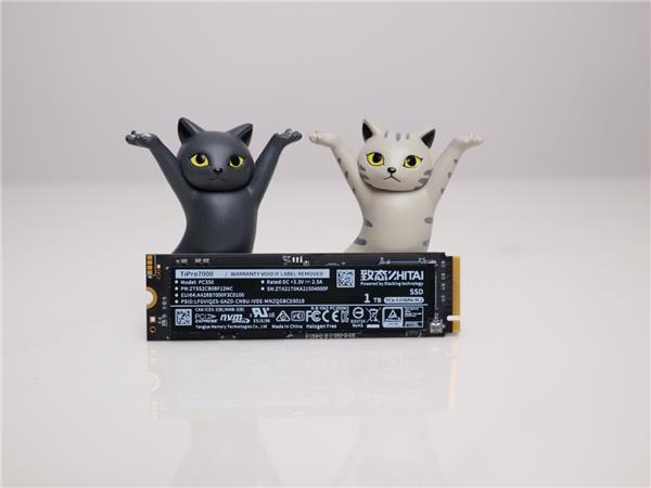 今晚8点开门红  致态天猫旗舰店福利狂享(图7)