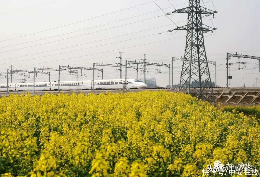 直达上海！芜湖今年再增一条高铁通道(图5)
